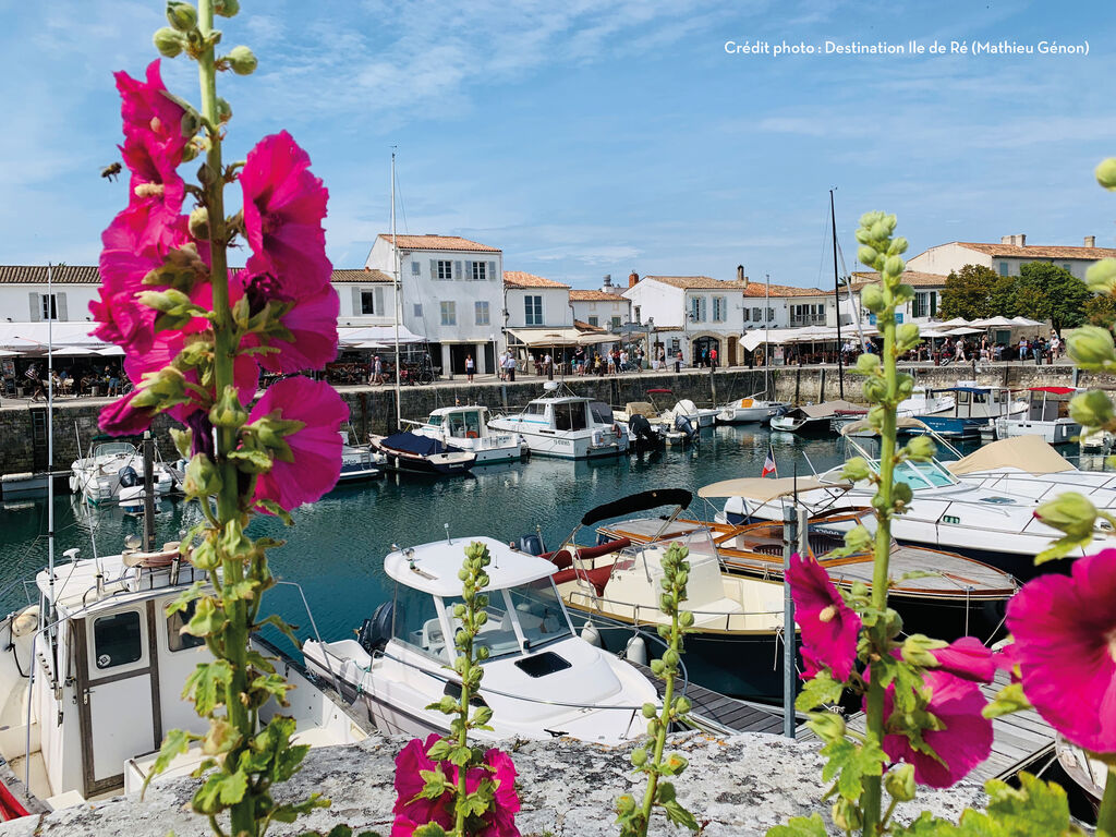 La Bonne Etoile, Camping Poitou Charentes - 20