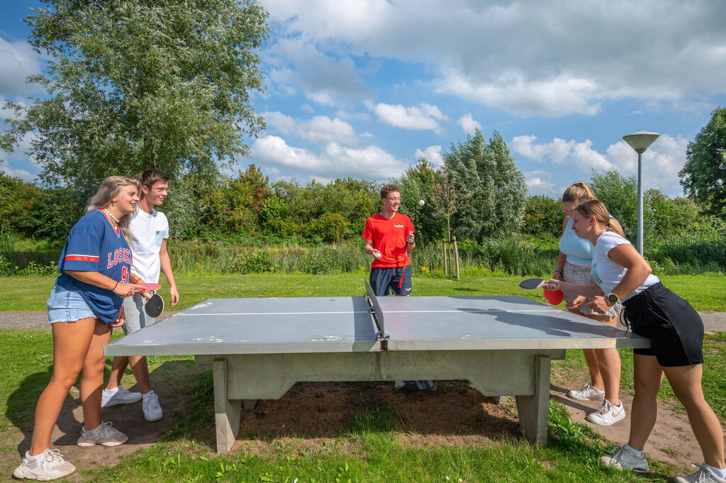 De Rotonde, Camping Gelderland - 19