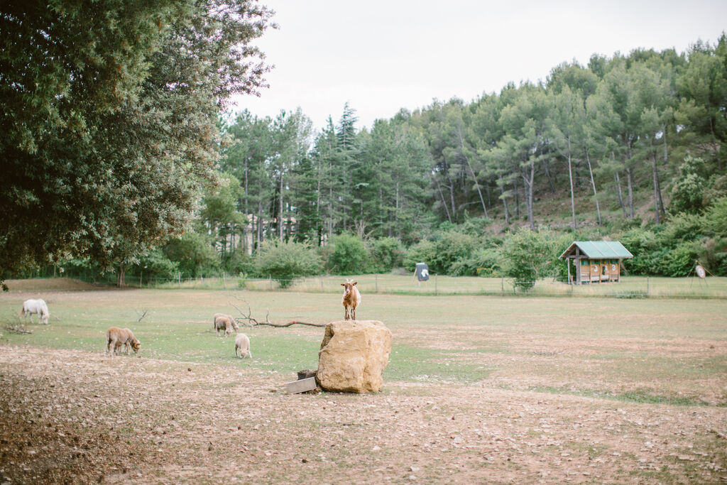 Naturiste Belezy, Camping Provence-Alpes-Cte d'Azur - 13