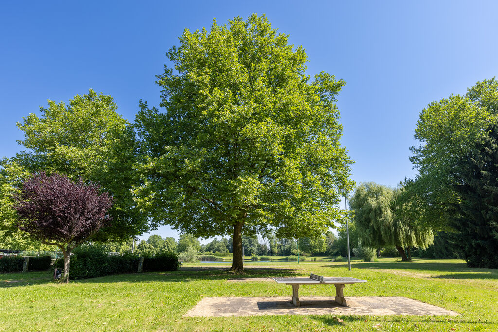 Lac d'Erstein, Camping Alsace - 9