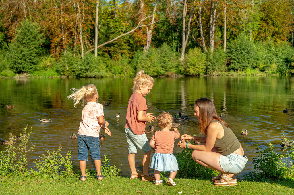 Fredland, Camping Ile de France - 37