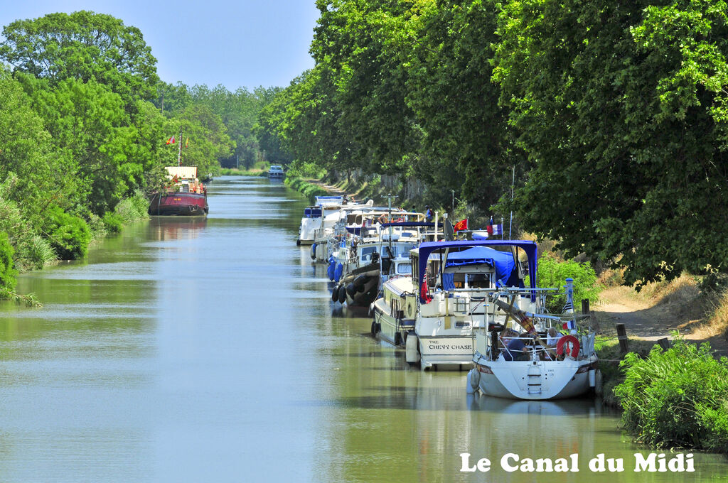 L'Hermitage, Camping Languedoc Roussillon - 15