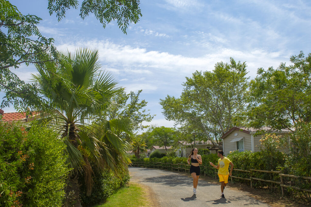 La Barbacane, Camping Languedoc Roussillon - 10