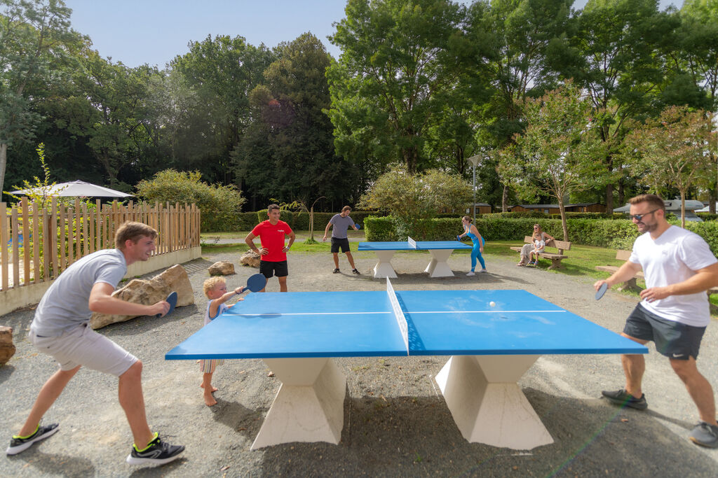 Parc de Montsabert, Camping Pays de la Loire - 9