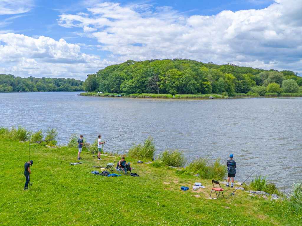 Palais de Gaufrette, Camping Lorraine - 15