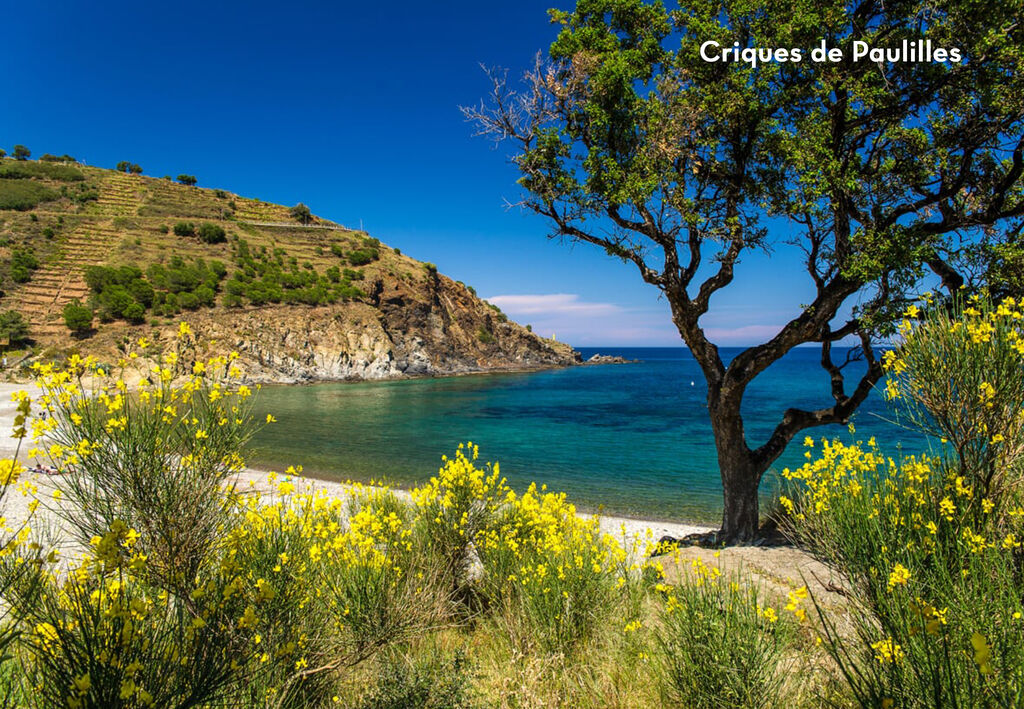 Texas, Camping Languedoc Roussillon - 2